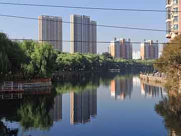 丽池电动汽车价格 -丽池电动汽车价格呼市